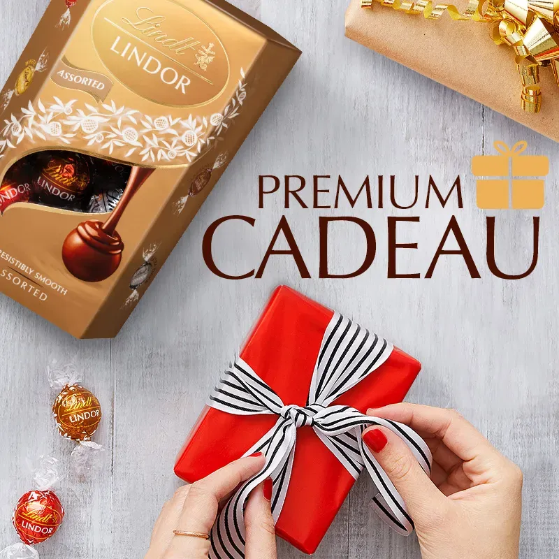شکلات کادویی لینت لیندور میکس طعمها ۲۰۰ گرم