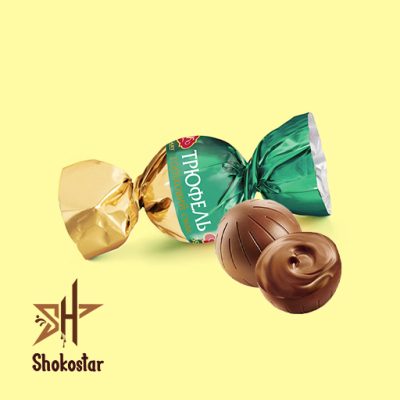 شکلات ترافل گرد فندقی abk